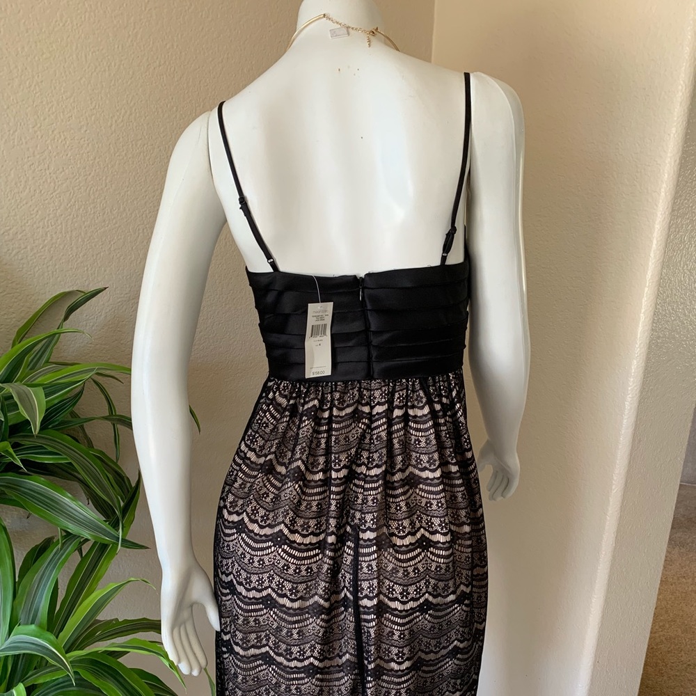 Max And Cleo Tea Lace Dress - Picture 8 of 8